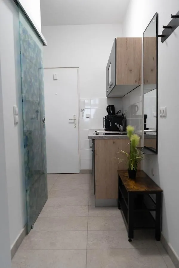 Wonderful, Modern City Center Apartment Wiedeń